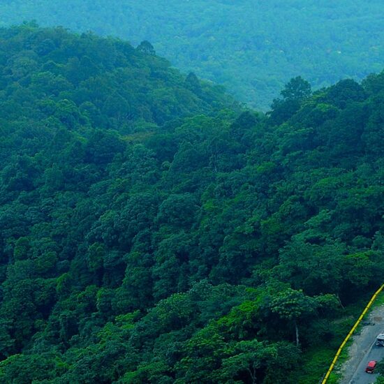 Wayanad – A Place Where Time Slows Down and Nature Heals