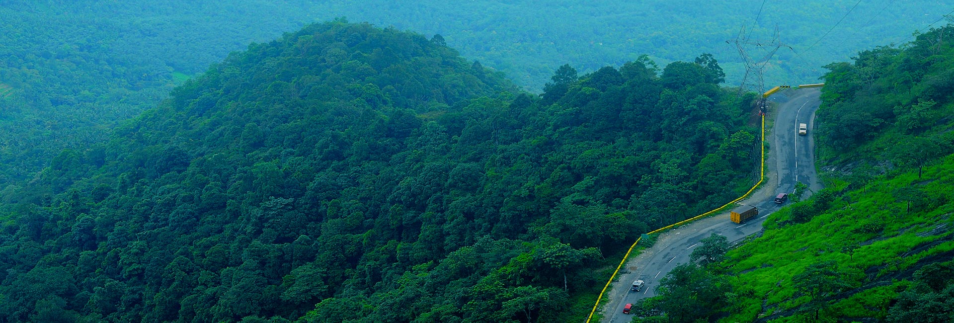 Wayanad – A Place Where Time Slows Down and Nature Heals